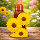 Sunflower Soap Holder